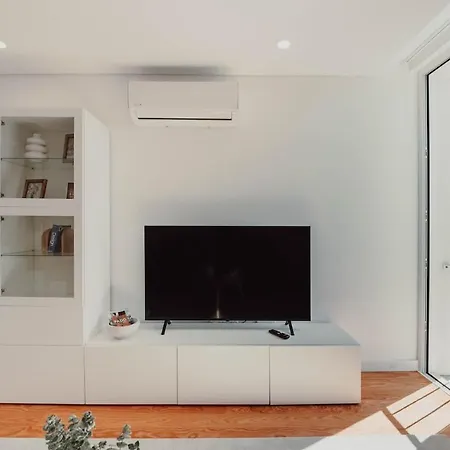 Exclusive Duplex In Downtown